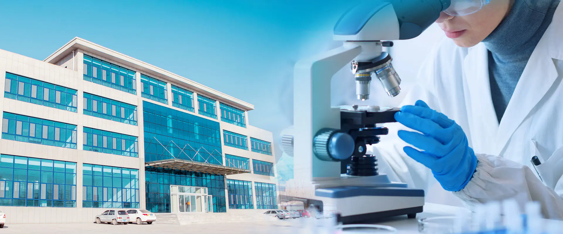 Producător de borate de zinc