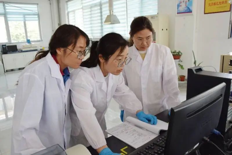 Taixing: „Tehnologia Breakthrough + Process Reengineering” reduce costurile și crește eficiența pentru a oferi un „scor ridicat”